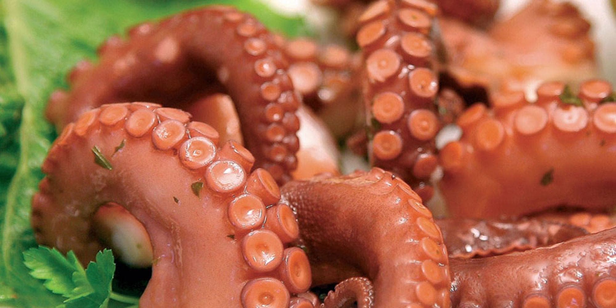 Immagine di copertina di BLUVER Specialità Alimentari: tutta la bontà artigianale su scala industriale