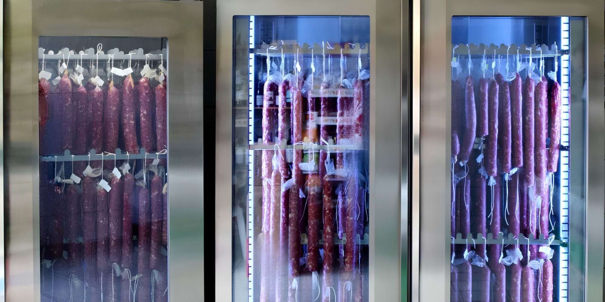 Immagine di copertina di Guida alla scelta dell’armadio stagionatura e frollatura professionale per la tua attività